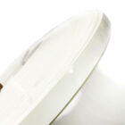 02A.jpg